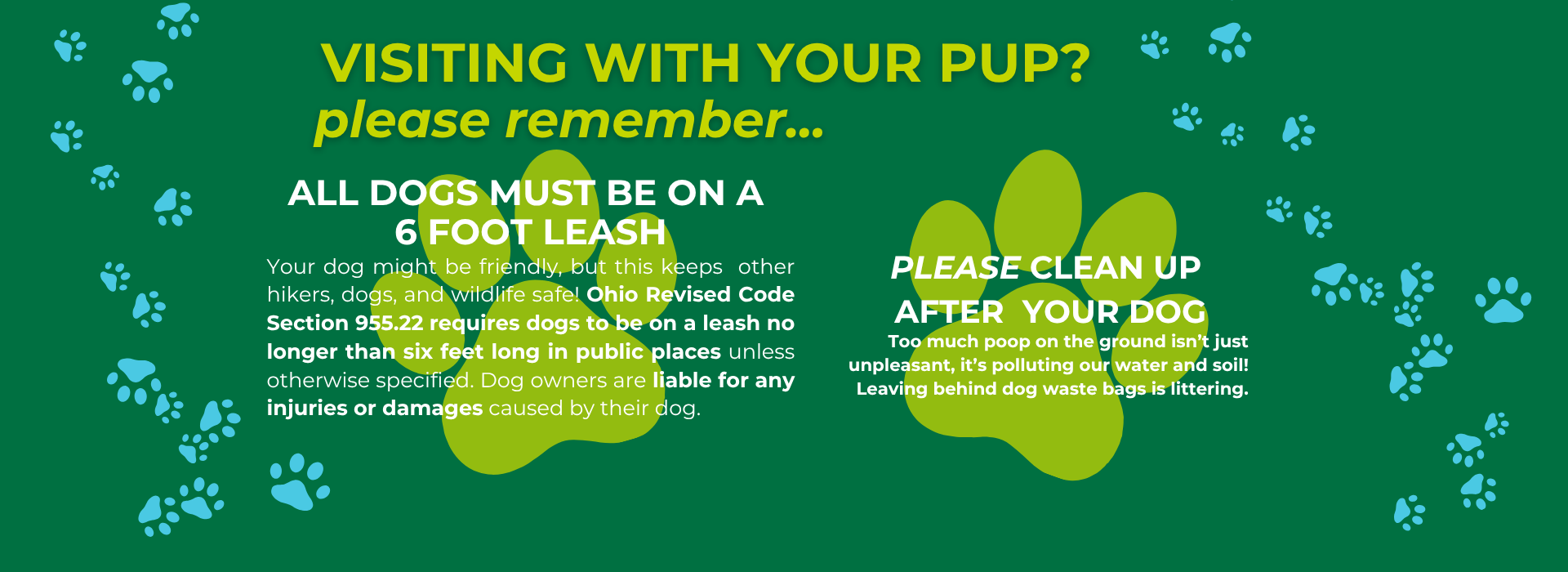 Text: Visiting with your pup? Please remember... All dogs must be on a 6ft leash! Your dog might be friendly, but this keeps  other hikers, dogs, and wildlife safe! Ohio Revised Code Section 955.22 re